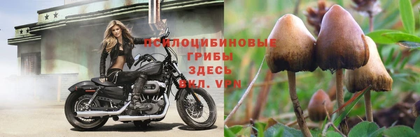 не бодяженный Богданович