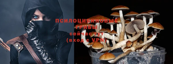 крисы Бородино