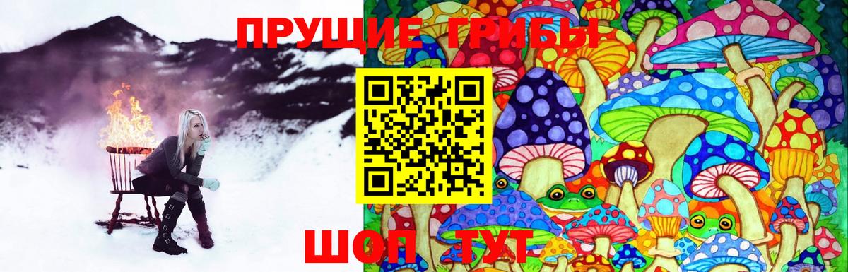 Галлюциногенные грибы прущие грибы  Псилоцибиновые грибы мухоморы  Бутурлиновка  Вход с VPN 
